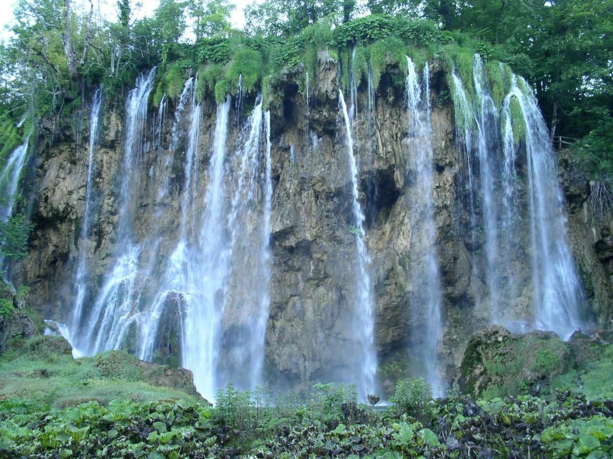 Accommodation Plitvice コレニツァ エクステリア 写真
